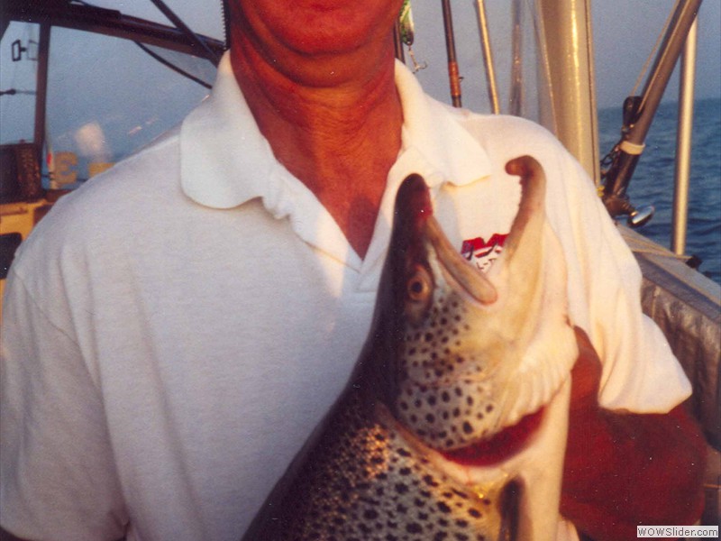 Lake-Ontario-50